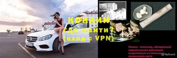 дживик Балахна