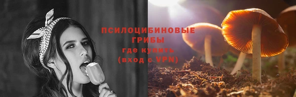 дживик Баксан