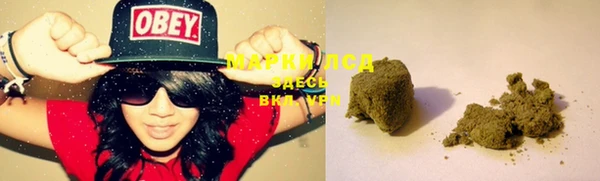 дживик Баксан
