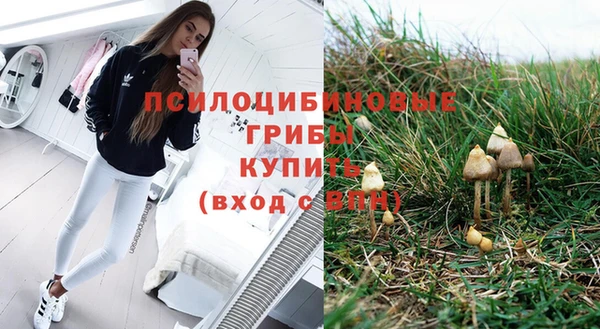 дживик Балахна