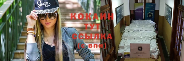 дживик Баксан